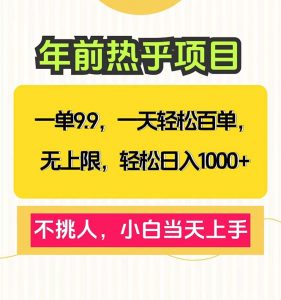 一单9.9，一天百单无上限，不挑人，小白当天上手，轻松日入1000+-网创星球