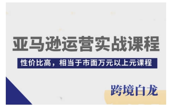 亚马逊运营实战课程，亚马逊从入门到精通，性价比高，相当于市面万元以上元课程-网创星球