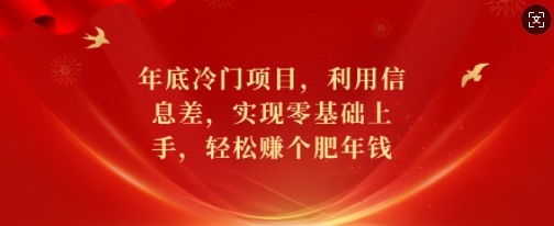 年底冷门项目，利用信息差，实现零基础上手，轻松赚个肥年钱【揭秘】-网创星球