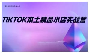 TikTok本土精品小店出海实战营,从入门到高阶,不止0-1!-网创星球