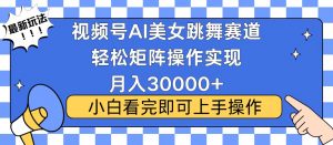 视频号蓝海赛道玩法，当天起号，拉爆流量收益，小白也能轻松月入30000+-网创星球