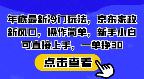 年底最新冷门玩法，京东家政新风口，操作简单，新手小白可直接上手，一单挣30【揭秘】-网创星球
