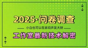 2025问卷调查最新工作室技术解密:一个人在家也可以闷声发大财,小白一天2张,可矩阵放大【揭秘】-网创星球