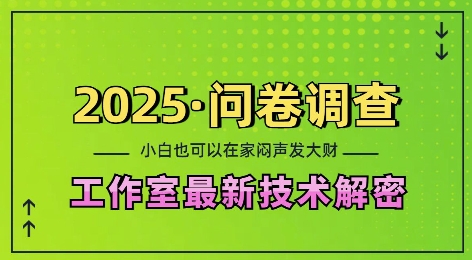 2025问卷调查最新工作室技术解密：一个人在家也可以闷声发大财，小白一天2张，可矩阵放大【揭秘】-网创星球