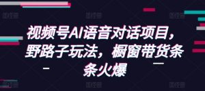 视频号AI语音对话项目,野路子玩法,橱窗带货条条火爆-网创星球