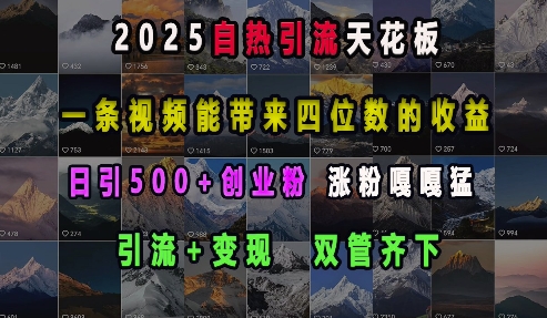 2025自热引流天花板，一条视频能带来四位数的收益，引流+变现双管齐下，日引500+创业粉，涨粉嘎嘎猛-网创星球