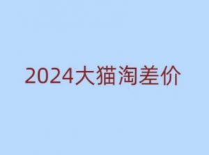 2024版大猫淘差价课程，新手也能学的无货源电商课程-网创星球