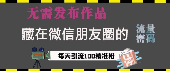 藏在微信朋友圈的流量密码，无需发布作品，单日引流100+精准创业粉【揭秘】-网创星球