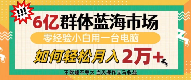 6亿群体蓝海市场，零经验小白用一台电脑，如何轻松月入过w【揭秘】-网创星球