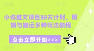 小说推文项目38天计划，剪辑与搬运多种玩法教程-网创星球