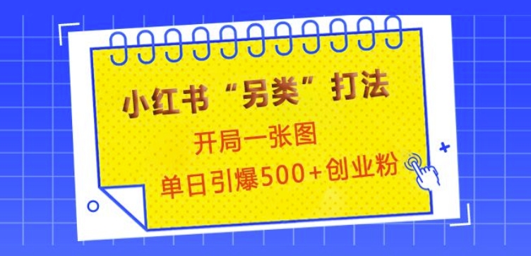 小红书“另类”打法，开局一张图，单日引爆500+精准创业粉【揭秘】-网创星球