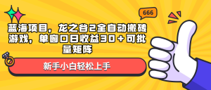 蓝海项目，龙之谷2全自动搬砖游戏，单窗口日收益30＋可批量矩阵-网创星球