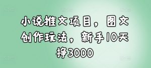 小说推文项目，图文创作玩法，新手10天挣3000-网创星球