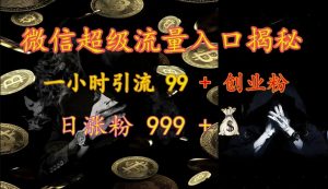 微信超级流量入口揭秘:一小时引流 99 + 创业粉,日涨粉 999 +-网创星球