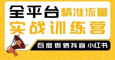 全平台精准流量实战训练营，百度微信抖音小红书SEO引流教程-网创星球