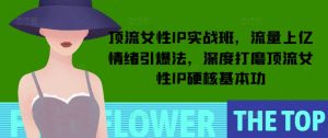 顶流女性IP实战班,流量上亿情绪引爆法,深度打磨顶流女性IP硬核基本功-网创星球