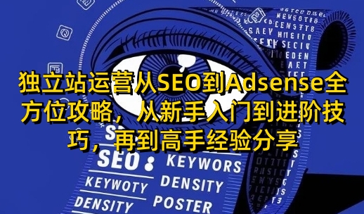 独立站运营从SEO到Adsense全方位攻略，从新手入门到进阶技巧，再到高手经验分享-网创星球