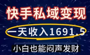 一天收入1691.5,快手私域变现,小白也能闷声发财-网创星球