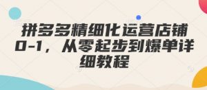 拼多多精细化运营店铺0-1，从零起步到爆单详细教程-网创星球