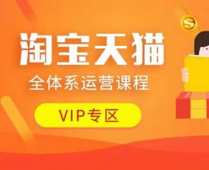 淘宝天猫全体系运营课程：店铺全系运营、动销玩法、付费推广、流量提升、擦边球玩法等等-网创星球