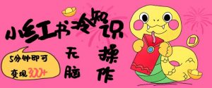 小红书冷知识账号，无脑复制粘贴，5分钟即可变现3张-网创星球