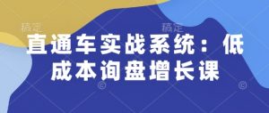 直通车实战系统：低成本询盘增长课，让个人通过技能实现升职加薪，让企业低成本获客，订单源源不断-网创星球