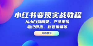 小红书变现实战教程：从小白到精英，产品定价，笔记带货，账号运营等-网创星球
