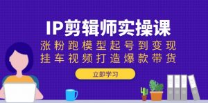 IP剪辑师实操课:涨粉跑模型起号到变现,挂车视频打造爆款带货-网创星球