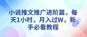 小说推文推广进阶篇，每天1小时，月入过W，新手必看教程-网创星球