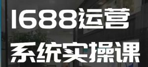 1688高阶运营系统实操课,快速掌握1688店铺运营的核心玩法-网创星球