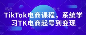 TikTok电商课程，​系统学习TK电商起号到变现-网创星球