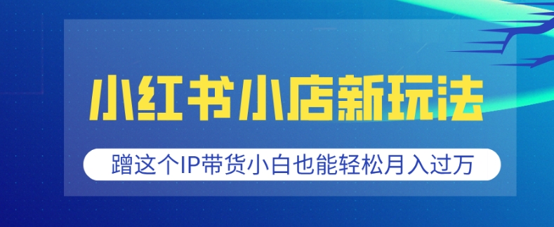 小红书小店新玩法，蹭这个IP带货，小白也能轻松月入过W【揭秘】-网创星球