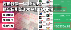 西瓜视频一键搬运技术，稳定日引流300+精准创业粉，简单可复制给团队，...-网创星球