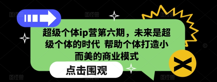 超级个体ip营第六期，未来是超级个体的时代  帮助个体打造小而美的商业模式-网创星球