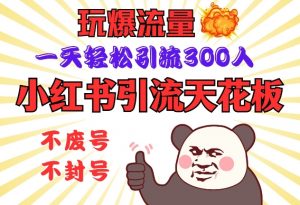小红书引流天花板，玩爆流量，一天轻松引流300人，安全操作-网创星球