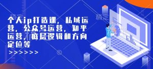 个人ip打造课，私域运营，公众号运营，知乎运营，底层逻辑和方向定位等-网创星球
