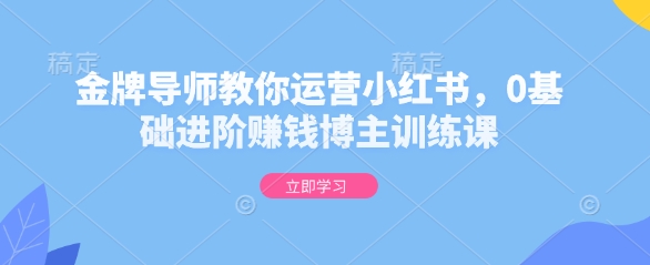 金牌导师教你运营小红书，0基础进阶赚钱博主训练课-网创星球
