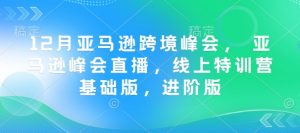12月亚马逊跨境峰会， 亚马逊峰会直播，线上特训营基础版，进阶版-网创星球