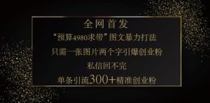 小红书神奇图片引流法，只需一张图，就能单条笔记凭借此方法，轻松引流 300 + 精准创业粉-网创星球