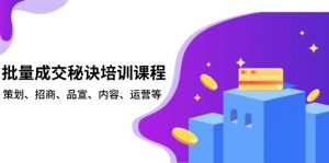 批量成交秘诀培训课程，策划、招商、品宣、内容、运营等-网创星球