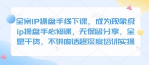 全案IP操盘手线下课，成为现象级ip操盘手必修课，无保留分享，全是干货，不讲废话超深度培训实操-网创星球