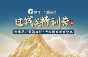 剽悍一只猫-过钱关特训营，学习营销真经 大幅度提高创富效率-网创星球