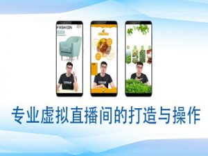 个人虚拟直播间的搭建与操作，专业虚拟直播间的打造与操作-网创星球