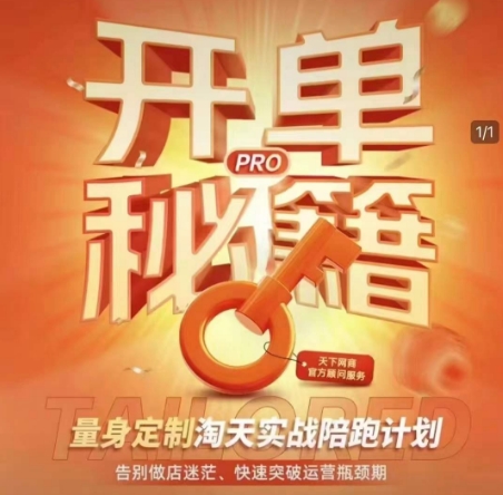 淘宝开单秘籍PRO，量身定制淘天实战陪跑计划，告别做店迷茫、快速突破运营瓶颈期-网创星球