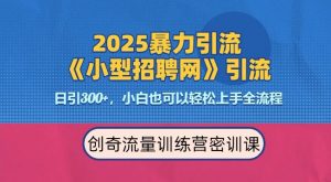 2025最新暴力引流方法,招聘平台一天引流300+,日变现多张,专业人士力荐-网创星球
