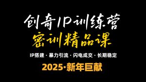 2025年“知识付费IP训练营”小白避坑年赚百万，暴力引流，闪电成交-网创星球