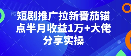 短剧推广拉新番茄锚点半月收益1万+大佬分享实操-网创星球