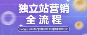 独立站营销全流程,Google SEO优化,社媒站外引流,独家营销技巧-网创星球
