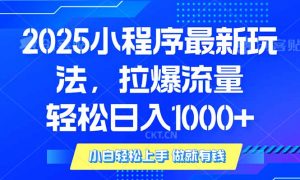 2025年小程序最新玩法，流量直接拉爆，单日稳定变现1000+-网创星球