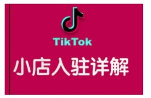 TikTok跨境小店运营全攻略,帮助你独立运营TK跨境小店的能力,实现销量增长-网创星球